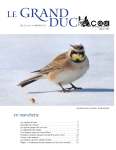 Gr-ducV20-3,2011-12_Page_01