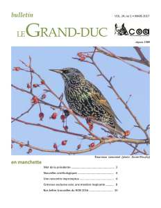 Gr-ducV24-no1_2017-03_Page_01