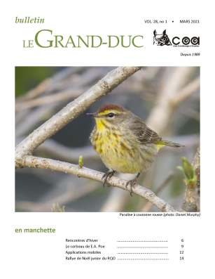 Gr-ducV28-no1_2021-mars2021Page1