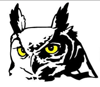 Sortie du 29 novembre&nbsp;2025